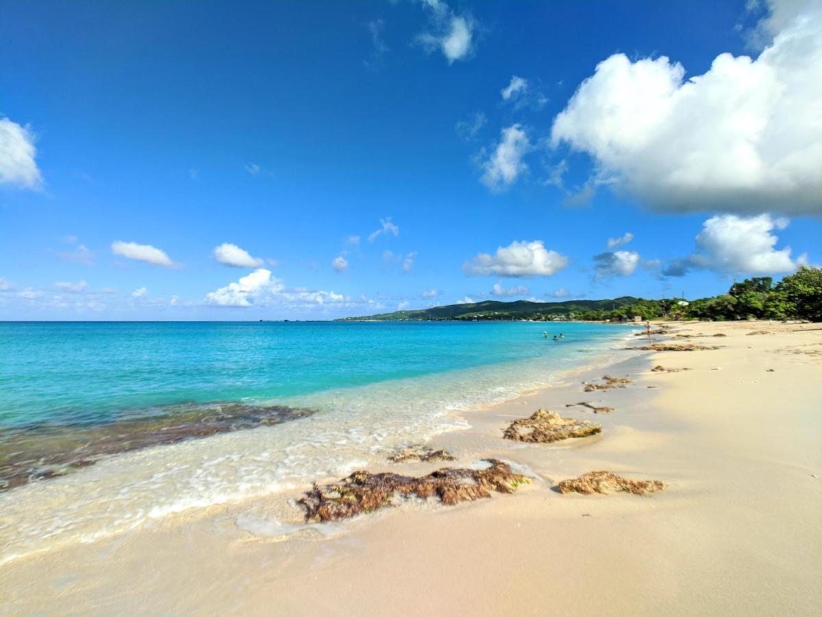 Sand Castle On The Beach - Adults Only Frederiksted Esterno foto